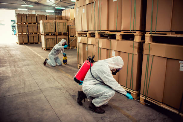 Best Affordable Pest Control Services  in Avilla, IN