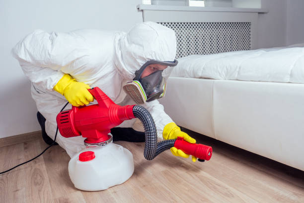 Reliable Avilla, IN Pest Control Solutions