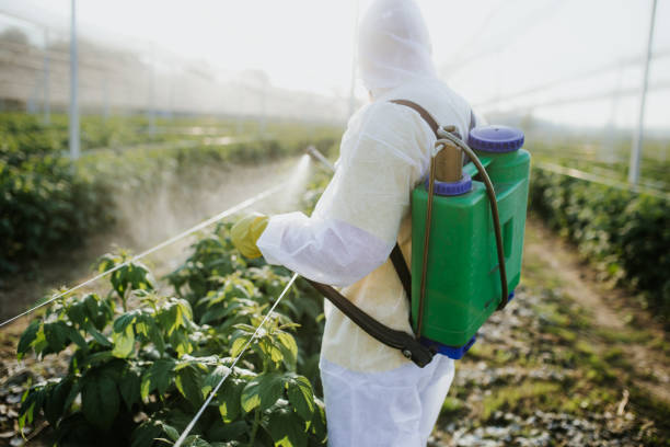 Best Pest Control for Homes  in Avilla, IN